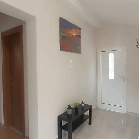 Zois 2 * Artemida (Attica)